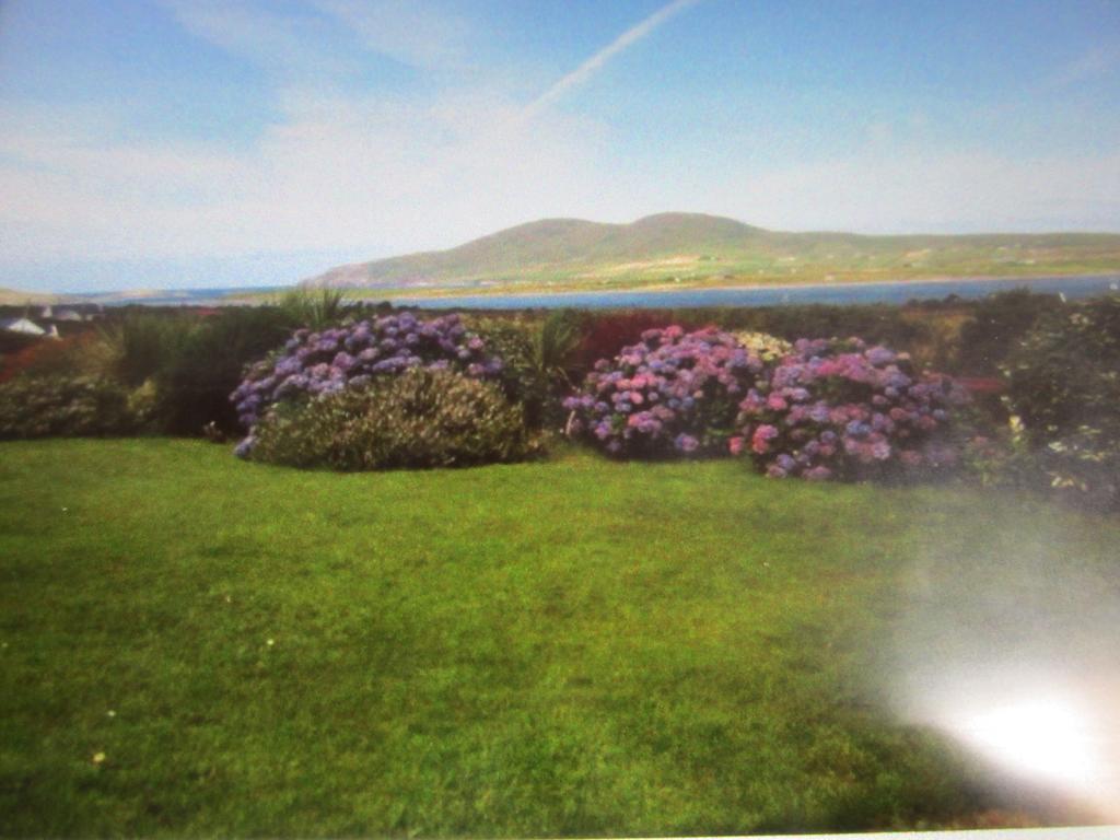 Ocean View B&B Cill Airne Exteriör bild